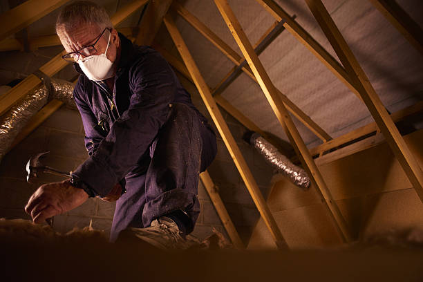 Best Cellulose Insulation in Westwood, PA